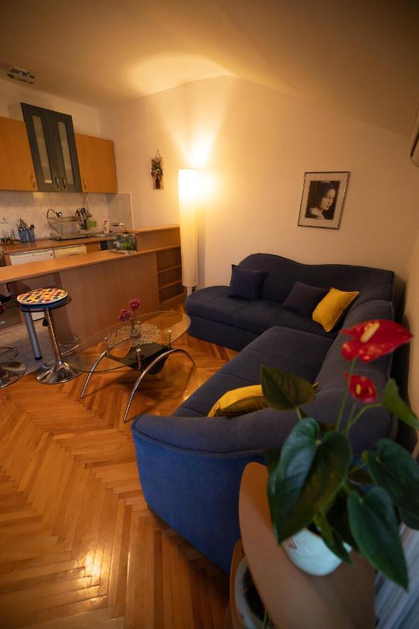 Cushy Apartment Close To City Centre Подгорица Экстерьер фото